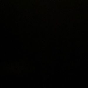 Meet your Posher, Wilson